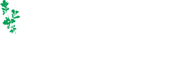 Bellevue Viera